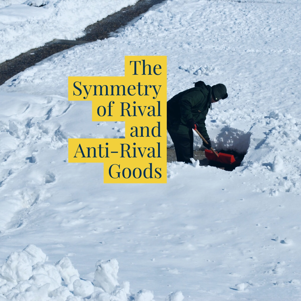 The Symmetry of Rival and Anti-Rival Goods
