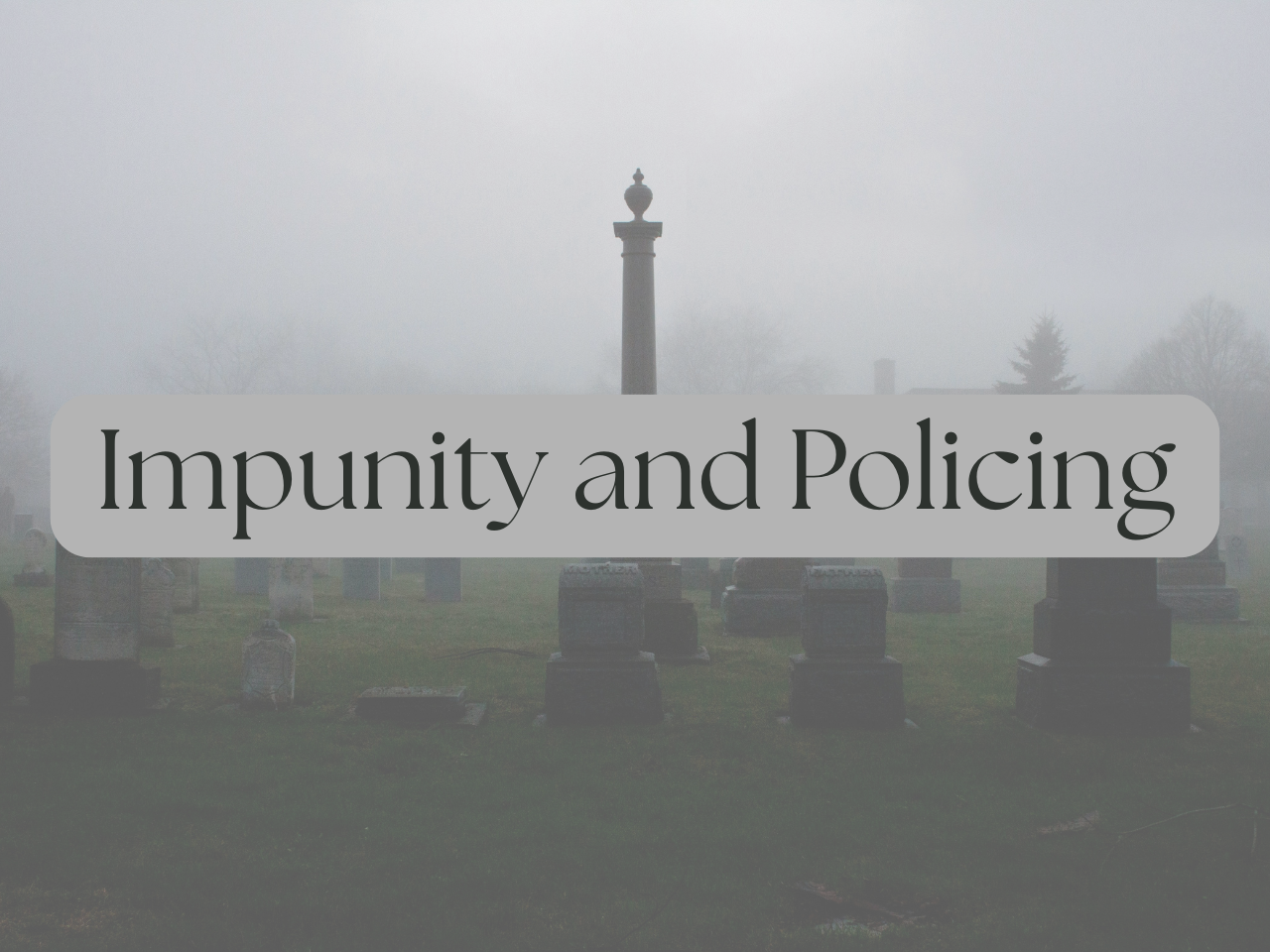 Impunity and Policing