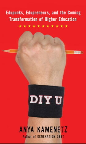 DIY U - Edupunks, Edupreneurs, and the Coming Transformation of Higher Education by Anya Kamenetz